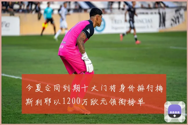 今夏合同到期十大门将身价排行梅斯利耶以1200万欧元领衔榜单