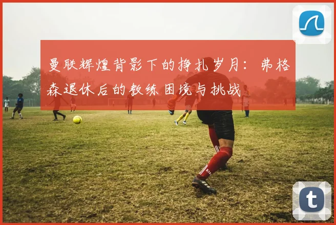曼联辉煌背影下的挣扎岁月：弗格森退休后的教练困境与挑战