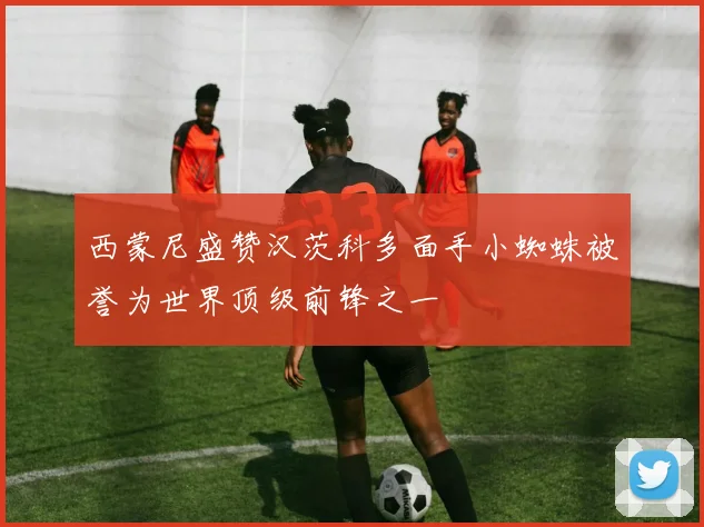 西蒙尼盛赞汉茨科多面手小蜘蛛被誉为世界顶级前锋之一