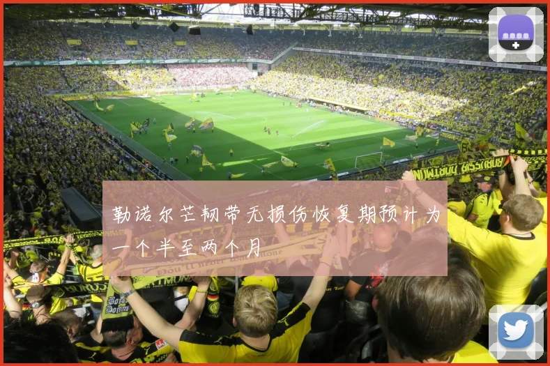 勒诺尔芒韧带无损伤恢复期预计为一个半至两个月
